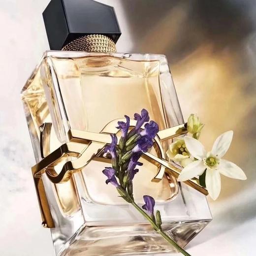 【全球购】圣罗兰浮雕小金条2支装香水礼盒（#21小金条2.2g+#1966斑马2.2g+自由之水50ml） 商品图3