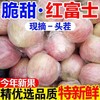 【头茬新果❗️正宗膜袋红富士苹果】产地直供苹果之乡，素以色/香/味俱佳著称，人工精心栽培，天然无污染种植，新鲜孕妇水果，非国产红马果应季红富士苹果L 商品缩略图1