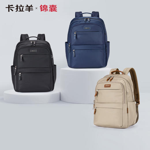 卡拉羊X锦囊商务电脑防盗背包20升出差通勤多功能双肩包睿行CN5224 商品图0