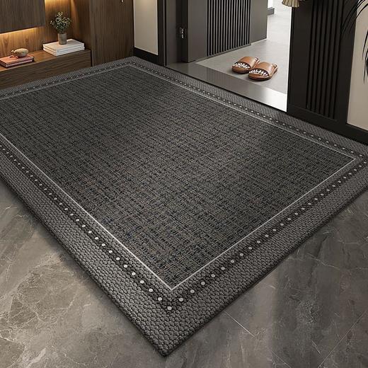 简约入户地垫灰色玄关垫耐脏易打理除尘垫子进门门垫家用地毯 商品图1