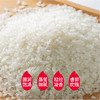 【买一送一  共发两袋】袁谷 隆平芯米五常香贡米2.5kg 商品缩略图2