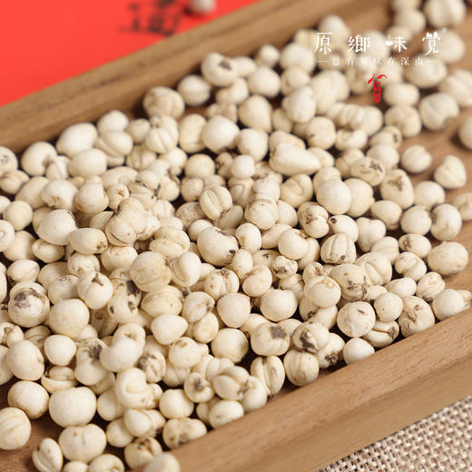 野生川贝母（成都仓库-顺丰快递）| 18g，38g，来自四川阿坝，生产者：松潘藏民【合作生产，公平贸易】 商品图13