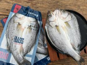 开背海鲈鱼  肉质细腻厚实 去内脏去腮去鳞  大规格单条600g/条