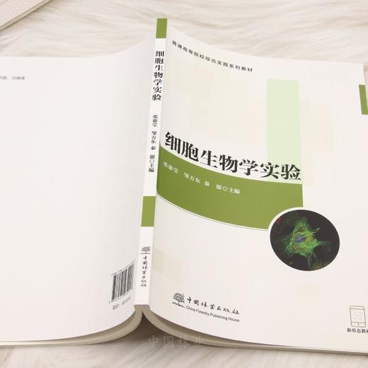 E细胞生物学实验（配套实验视频、课件） &3091 商品图2