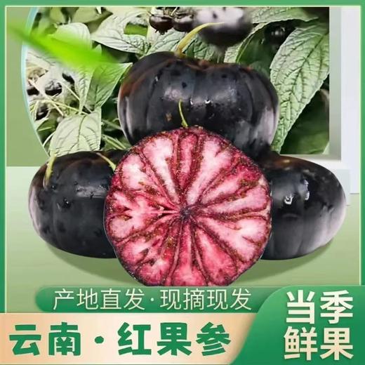 【不一样的美味❗新鲜云南红果参】好品质来自好产地，应季水果红果参，果肉密实多汁，酸甜可口，营养价值高，稀有水果蜘蛛果包邮应当季红果参L 商品图1