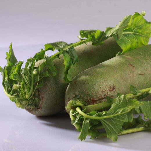 【沙窝萝卜】产自天津沙窝村，民间形容“一摔掉八瓣”，原生态种植，远离城市污染，不催熟 商品图4