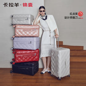 【红点奖设计师款】卡拉羊X锦囊小香风皮革纹纯PC超轻二八开魔方体行李箱CN8113（TX）
