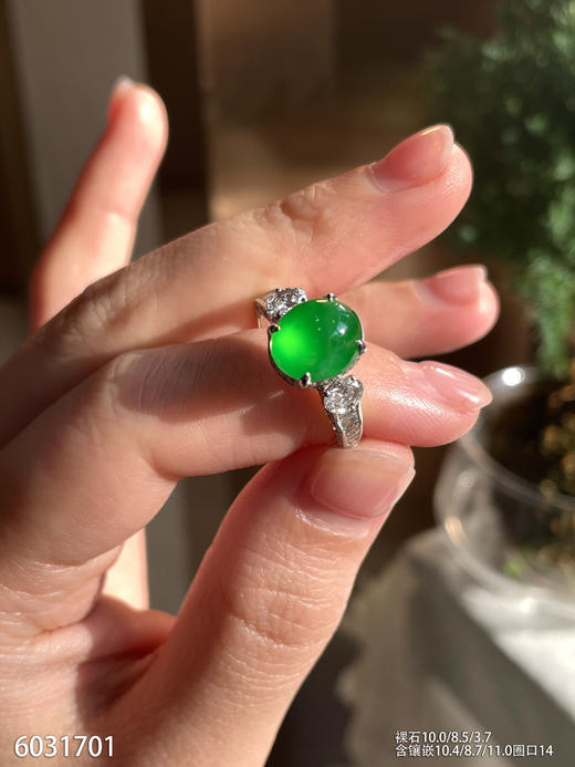 蛋面戒指【6031701】具体价格微信咨询 商品图2