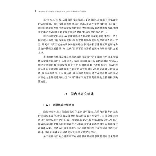 碳达峰碳中和目标下京津冀能源电力协同发展路径与机制研究/华北电力大学/哲学社会科学繁荣计划专项/哲学社会科学文库/张健 著/浙江大学出版社 商品图2