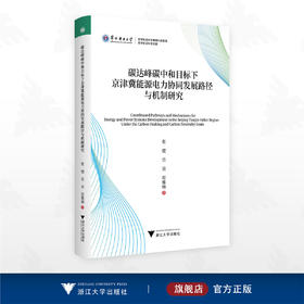 碳达峰碳中和目标下京津冀能源电力协同发展路径与机制研究/华北电力大学/哲学社会科学繁荣计划专项/哲学社会科学文库/张健 著/浙江大学出版社