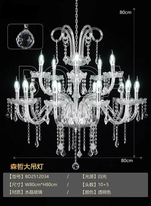 森哲大吊灯（运费自理） 商品图0