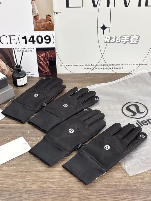 F010715冬新款极地专业系列全功能防水防风保暖触屏情侣款手套 商品图0