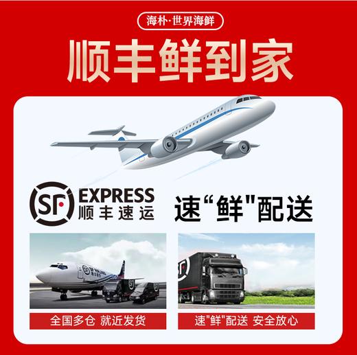 【海朴】A2藏珑团圆海鲜年货礼盒严选10种精品海鲜企业采购团购品 商品图3