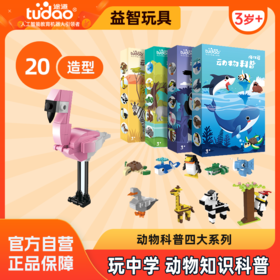 【趣味造型，动物科普】4岁+ 动物科普 玩中学 动物知识科普社交