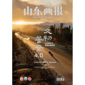 《山东画报》2025年第11期（文物普查）