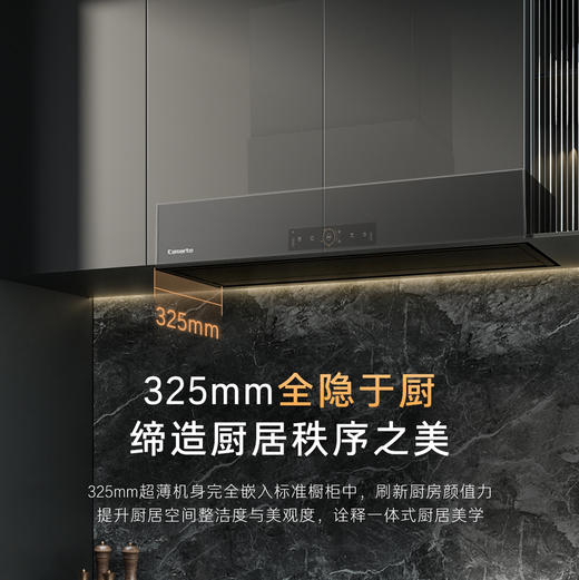 卡萨帝（Casarte）烟机 CXW-358-C9Q90EGUD 商品图9