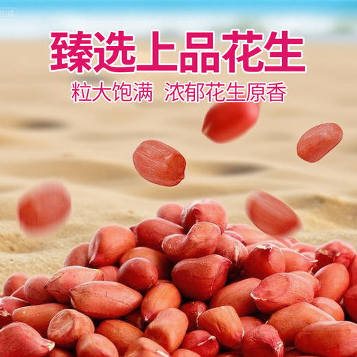 广东省国资国企帮扶臻品 徐闻县新寮岛红衣花生油 1L装 商品图3