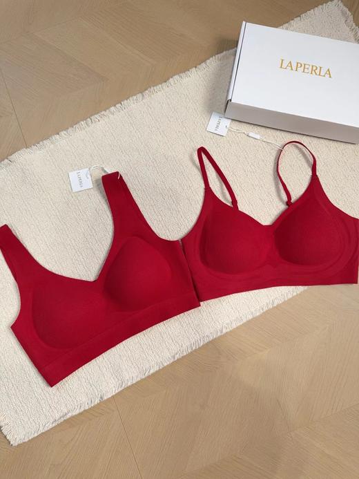 F010768秋冬新款亲肤磨毛面料女士美背文胸内衣 商品图2