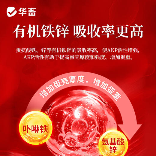 华畜钙磷微量全能宝有机的 好吸收增加蛋壳厚拉大骨架1kg华畜 商品图3