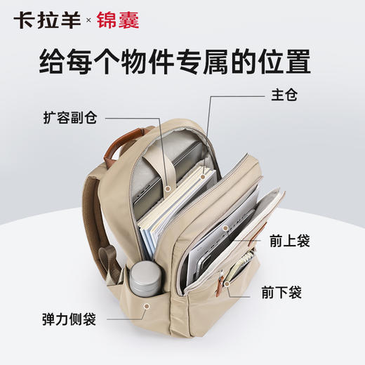 卡拉羊X锦囊商务电脑防盗背包20升出差通勤多功能双肩包睿行CN5224 商品图2