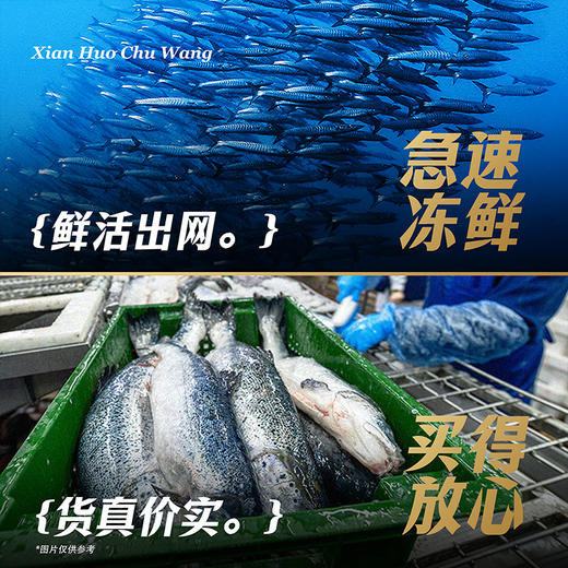 【顺丰包邮】蟹状元生鲜礼盒---国货海鲜 商品图4