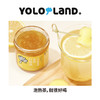 有乐岛/风味生姜柠檬酱 泡水冲饮冲泡饮品 商品缩略图3