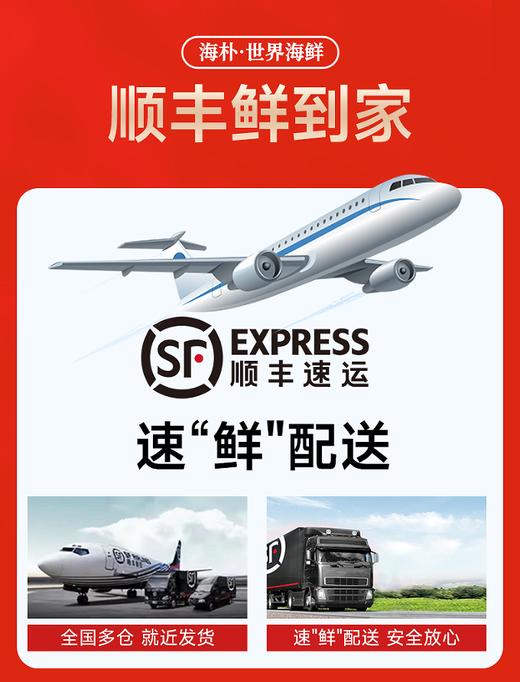 【海朴】A6晟泽呈祥海鲜年货礼盒大礼包严选10种精品海鲜企业采购 商品图2