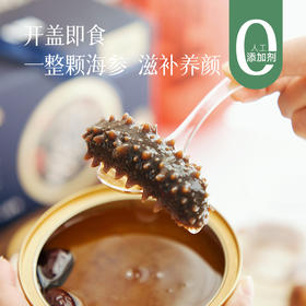 【鲜炖海参礼盒】内含一整个大连海参 开罐即食  随时养生