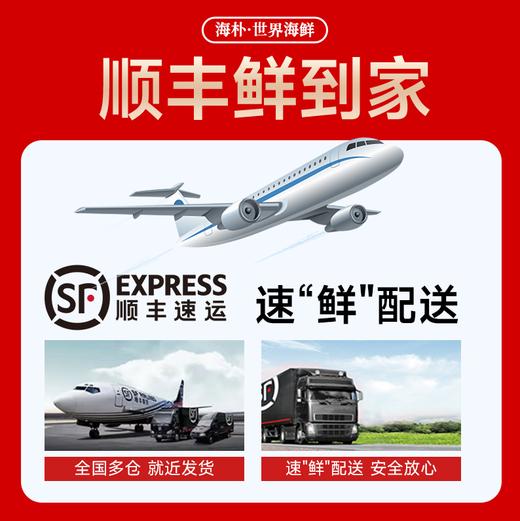 【海朴】A1臻鸾家宴海鲜年货礼盒大礼包严选10种精品海鲜企业采购 商品图4