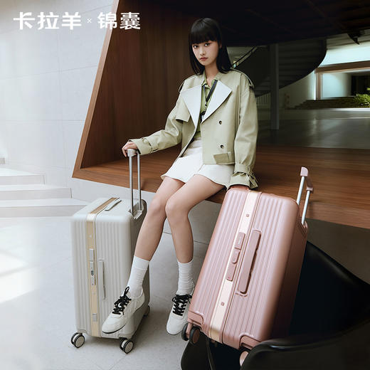 【镜面大平框铝框】卡拉羊锦囊承重抗压榫卯铝框箱鎏金板材防刮抗摔CN8424 商品图9