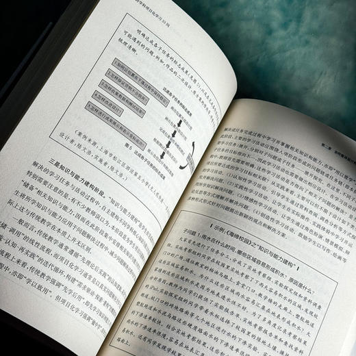 跨学科项目化学习33问 崔春华 跨学科PBL 上海市义务教育项目化学习丛书 商品图12