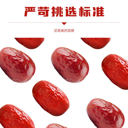 今粮道/申十一178g红枣JLD132 商品图3