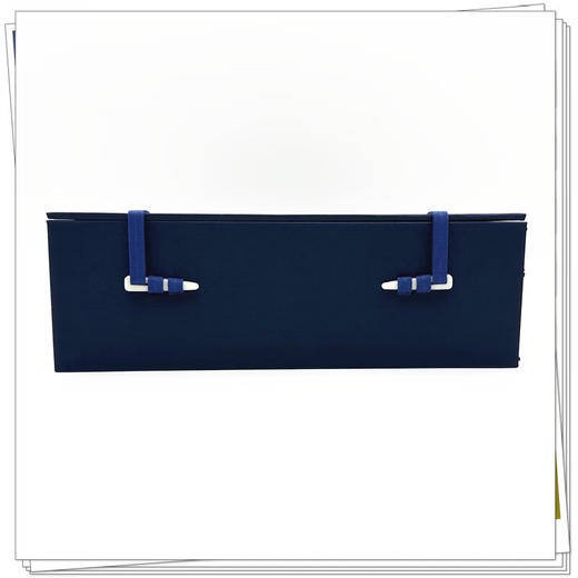 全2册 守山阁校本黄帝内经（灵枢+素问王注）熙霞子 姚建飞 整理 率真书斋 精装影印 古籍医学书籍 9787513289573中国中医药出版社 商品图4