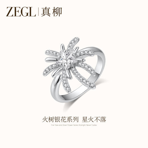 ZEGL设计师火树银花系列戒指女小众日常高级感烟花新款秋冬食指环 商品图1