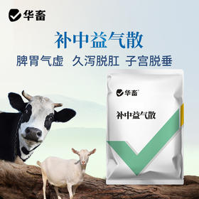 华畜补中益气散500g 脾胃气虚久泻脱肛 母畜产后用