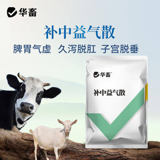 华畜补中益气散500g 脾胃气虚久泻脱肛 母畜产后用 商品图0