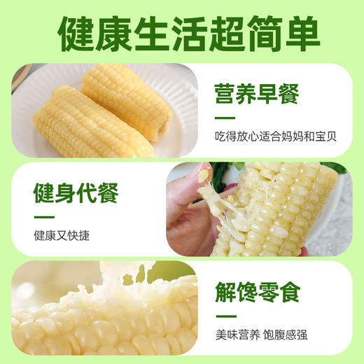 京小糯有机甜糯玉米-真空包装8根*1箱 商品图4