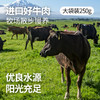 大希地草原肥牛卷250g（袋装） *6 商品缩略图2