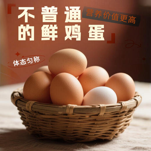 申十一谷物鲜鸡蛋30枚鸡蛋+泡沫盒+稻谷壳JLD102-30枚 商品图7