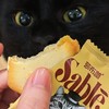 [屁侠推荐]莎布蕾猫舌曲奇 入口即化 奶香浓郁 独立包装  商品缩略图0