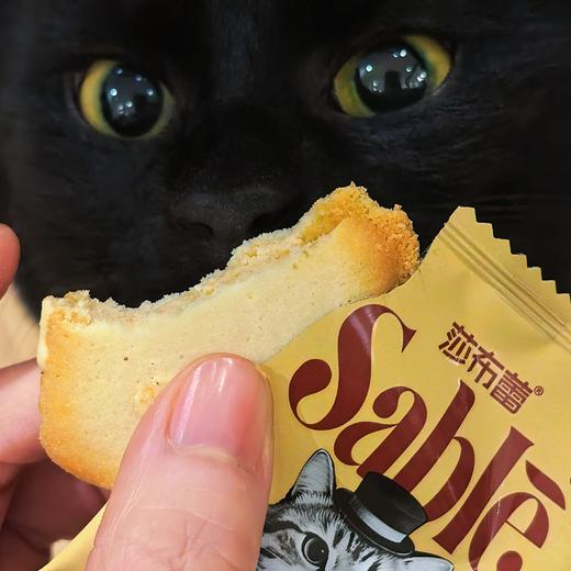 [屁侠推荐]莎布蕾猫舌曲奇 入口即化 奶香浓郁 独立包装  商品图0