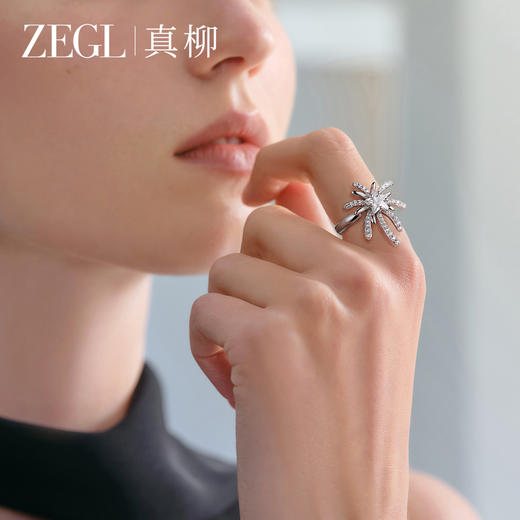 ZEGL设计师火树银花系列戒指女小众日常高级感烟花新款秋冬食指环 商品图2