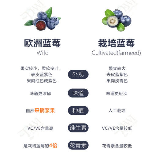 【新品】Dewi黛维欧洲蓝莓冻干粉高花青素全果营养进口天然冲饮 商品图2