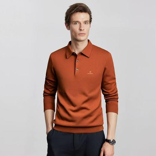 皮尔卡丹男士绵羊毛上衣 冬季新款商务定制刺绣羊毛POLO衫 商品图1