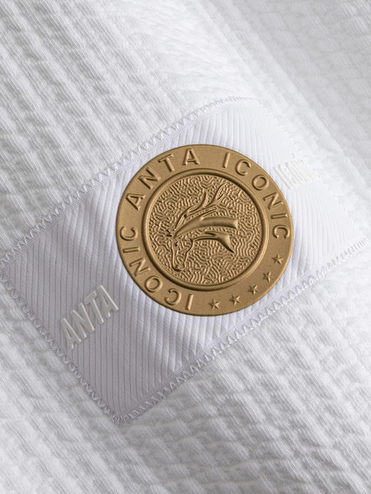 安踏×徐悲鸿奔马图联名丨天马行空系列新年款卫衣男女172618701 商品图3