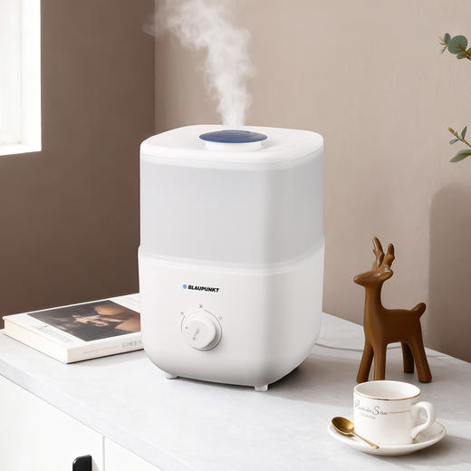 蓝宝加湿器BP-JS2730【分仓直发，72小时发货，周末节假日不发货】 商品图3