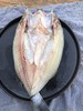 开背海鲈鱼  肉质细腻厚实 去内脏去腮去鳞  大规格单条600g/条 商品缩略图3