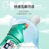 白倍极马桶解垢凝胶 商品缩略图1