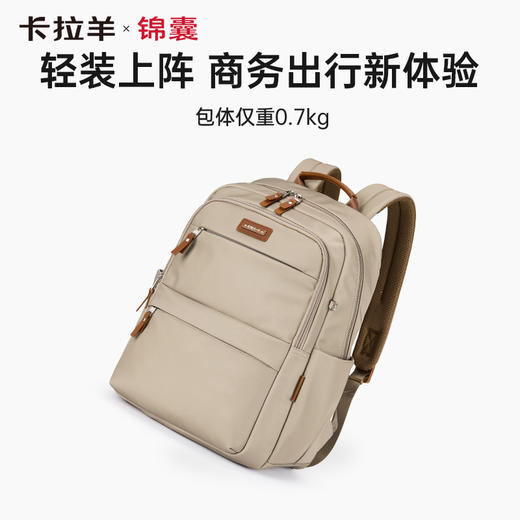 卡拉羊X锦囊商务电脑防盗背包20升出差通勤多功能双肩包睿行CN5224 商品图3