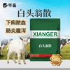 华畜白头翁散兽用痢菌净止痢散猪用牛羊鸡仔猪黄白痢拉稀止泻 商品缩略图0
